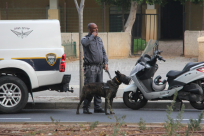 بالصور: الشرطة تنتشر بكثافة في شوراع ومفترقات مدينة يافا وتحرر مخالفات سير